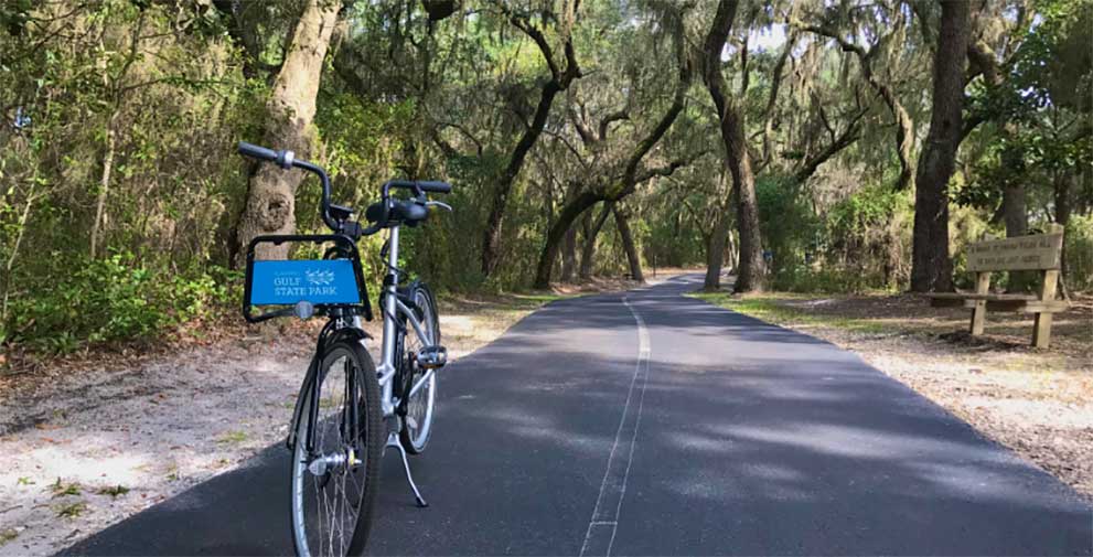 bike parked on a trail surrounded by woods