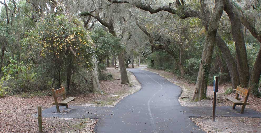 walking and biking trails with benches and overhanging trees